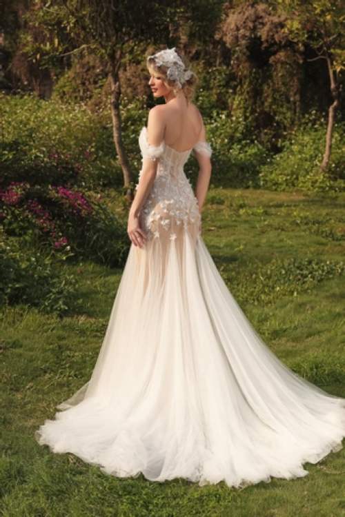 Back view